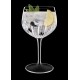 C493 AMERICAN/MIXOLOGY COPA GIN TONIC 80CL