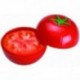 GUARDA TOMATES PLASTICO