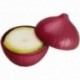 GUARDA CEBOLLAS PLASTICO