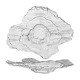 MUSHROOM BOL 22X17 ALABASTRO TTE