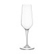 ELECTRA COPA CAVA 23CL