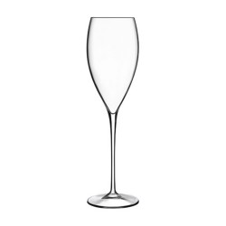 C337 MAGNIFICO COPA CAVA 32CL